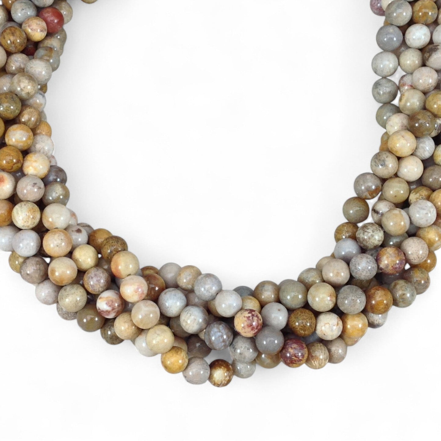 Fossil Coral Round-0